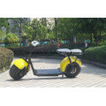 Cidade Coco / Scooter Elétrico de 2 Rodas 2000W / 1500W / 1000W Ce / FCC / UL / Un38.8 / RoHS